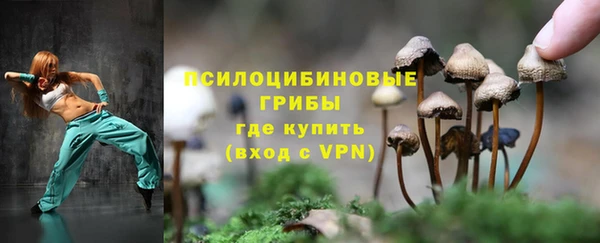герыч Володарск