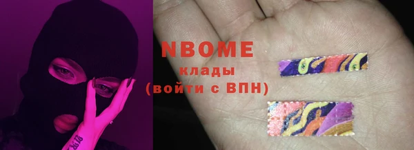 индика Покров