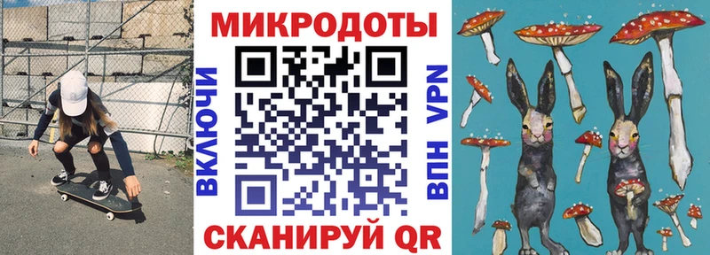 наркотики  Вилючинск  Галлюциногенные грибы GOLDEN TEACHER 